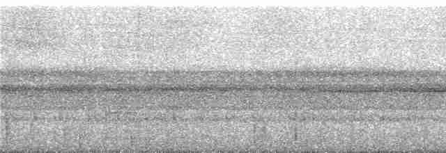 Рораймская совка [группа napensis] - ML273618