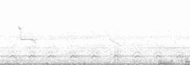 Орлан-білохвіст - ML273621021