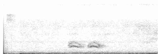 Каролинский крапивник - ML273659021