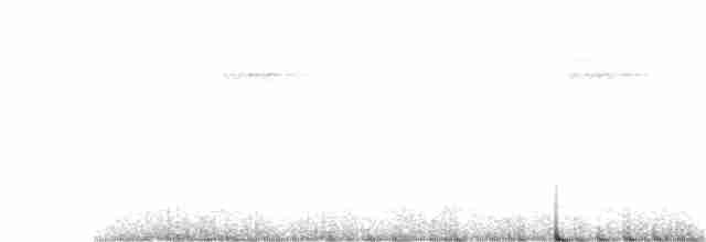 Black-crowned Antshrike - ML273661781