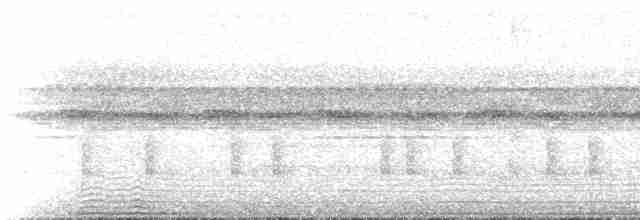 Гребенечуб андійський - ML273688