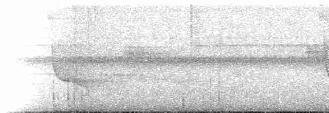 Collared Trogon (Collared) - ML273710