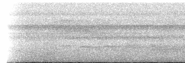 rorýs krátkoocasý [skupina brachyura] - ML273714