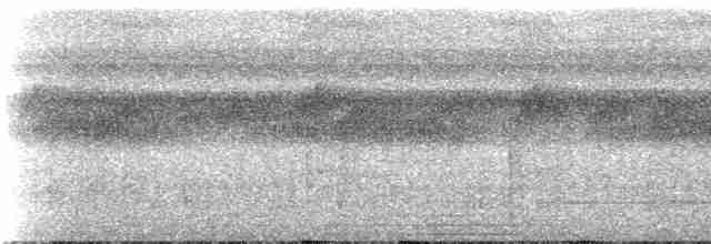 Strichelfaulvogel (striolatus) - ML273766