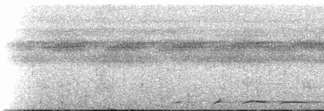 holub šedorůžový - ML273779