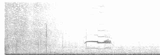 Horned Grebe - ML273805301