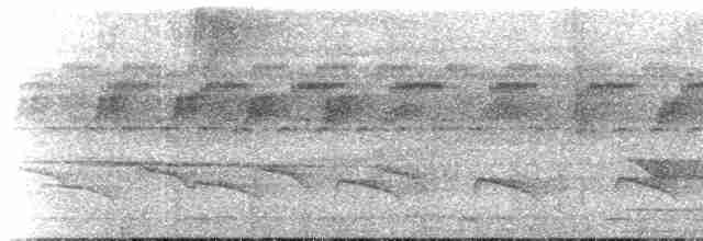 Iheringameisenschlüpfer (oreni) - ML273826