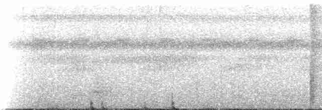 Strichelfaulvogel (striolatus) - ML273854