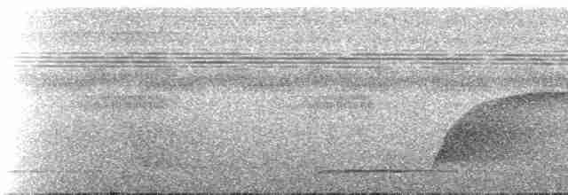 Манакін-стрибун карликовий - ML273858