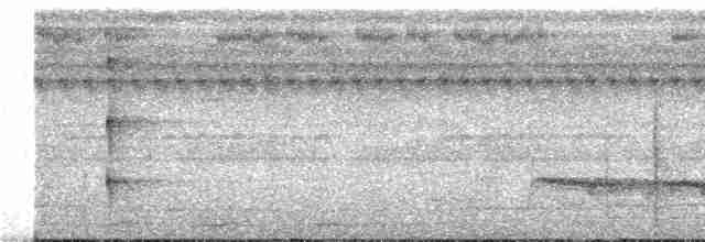 Uzun Taçlı Tiran - ML273861