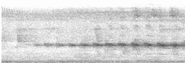 Échenilleur cigale (groupe tenuirostre) - ML273861571
