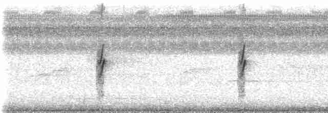 סנונית רפתות (אמריקנית) - ML273904