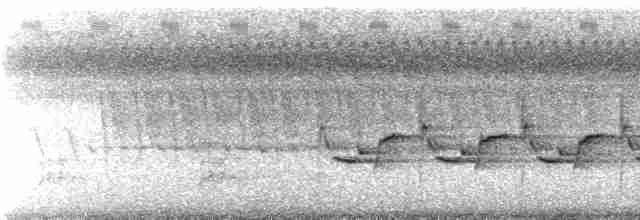 Поплітник каролінський - ML273905