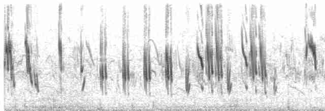 ヒメコウテンシ - ML274025