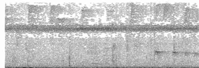 Ірличок сіроголовий - ML274025081