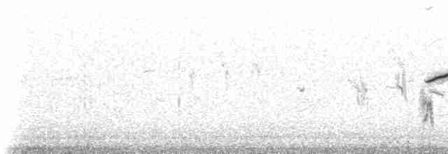Txoriandre pispoleta turkestandarra - ML274050