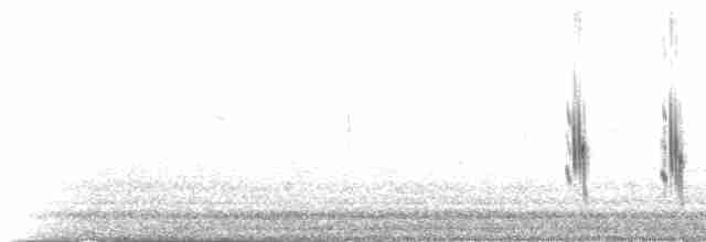 Txoriandre pispoleta turkestandarra - ML274053