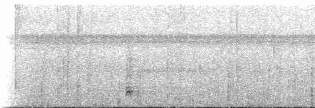 White-necked Thrush (Gray-flanked) - ML274112