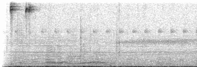 Alev Suratlı Tangara (parzudakii/urubambae) - ML274121