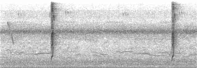 Çizgili Büyük Tiran - ML274131621