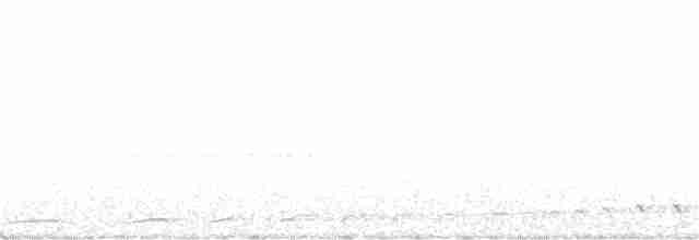 White-throated Nightjar - ML274200311