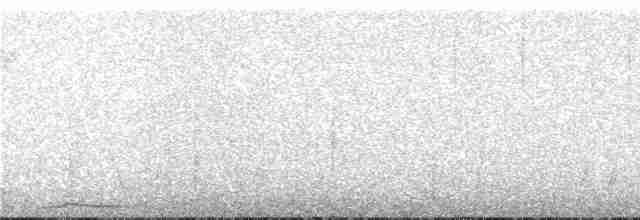 Alev Suratlı Tangara (parzudakii/urubambae) - ML274205