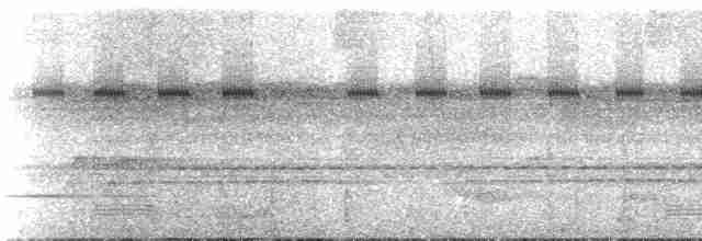 Cinereous Tinamou - ML274215