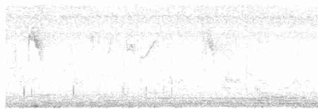 Берингийская жёлтая трясогузка - ML274218151