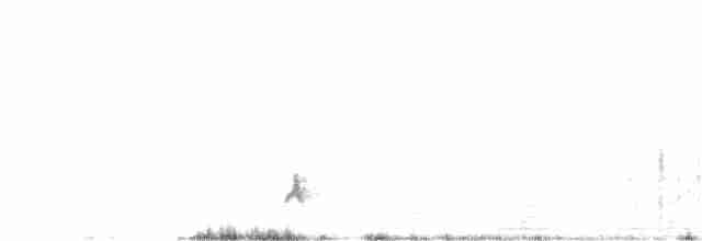European Bee-eater - ML274265091