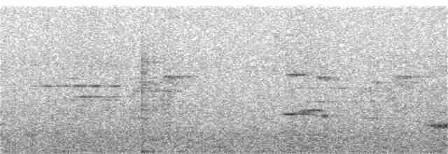 Пестрогрудый тираннчик - ML274356031