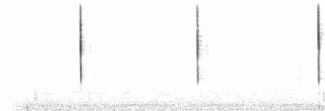 Kara Gözlü Junko (hyemalis/carolinensis) - ML274370831