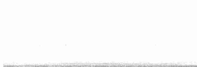 Black-necked Stilt (Black-necked) - ML274382571