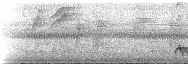 svartnebbtrost (debilis) - ML274417