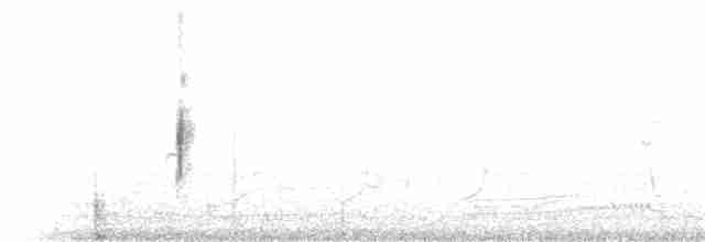 vlhovec červenokřídlý [skupina phoeniceus] - ML27447911