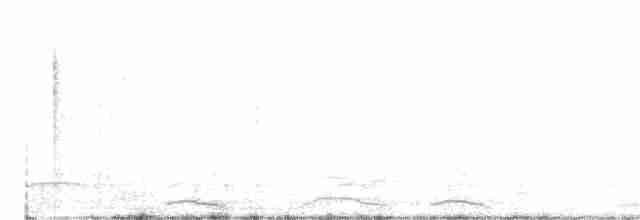 Tundra Swan - ML274535271
