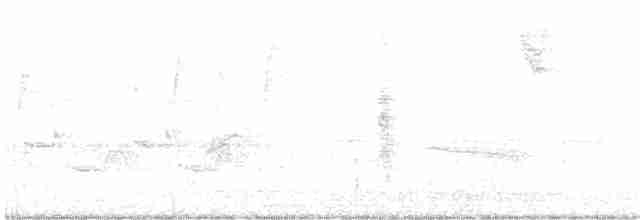 Каролинский крапивник - ML274635511