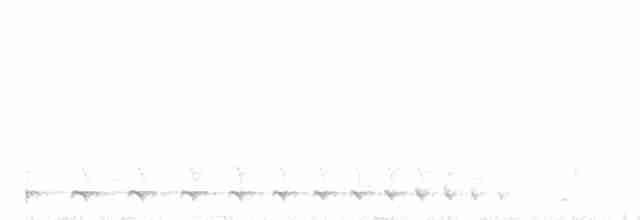 Weißbrust-Ameisenwürger - ML274859021