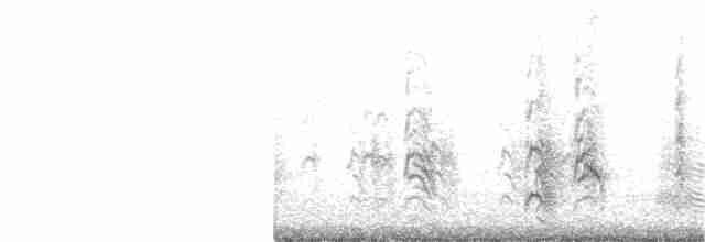 Black-naped Tern - ML274877101