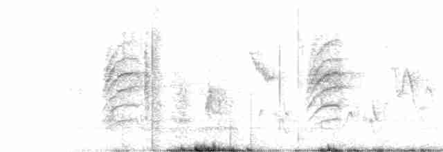 Eastern Orphean Warbler - ML274947111