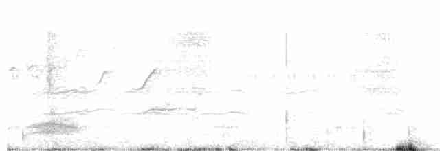 White-tailed Iora - ML274949381
