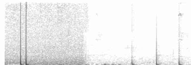 Chevêchette cuculoïde - ML275010521