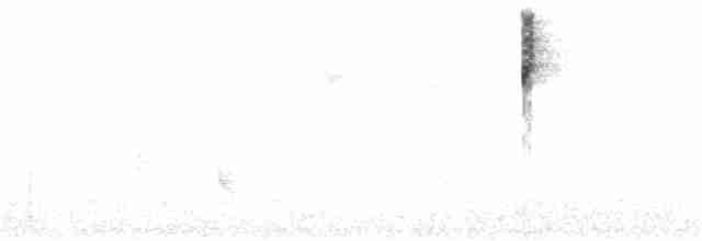 Тасманийская кустовка - ML275049661