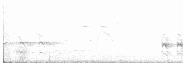 ledňáček posvátný (ssp. vagans) - ML275072141