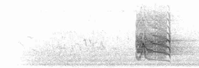 Meves Sığırcığı (mevesii) - ML275281