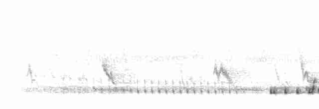 Хохлатая чубатка - ML275341