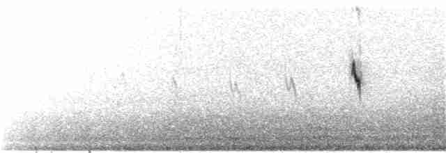 Lavandera Blanca (ocularis) - ML275432421