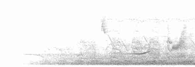 Mor Tepeli Turako - ML275436