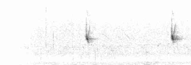 Long-tailed Widowbird - ML275493