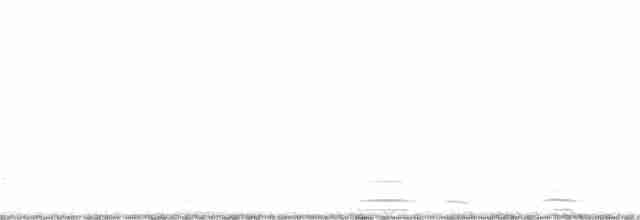 Cisne Trompetero - ML275497271