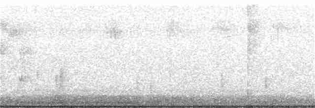 Белогорлая зонотрихия - ML275498351